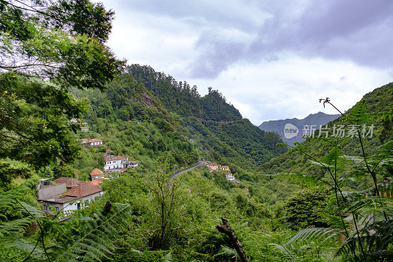 森林景观沿Vereda dos Balc?es在马德拉岛山脉的Ribeiro Frio